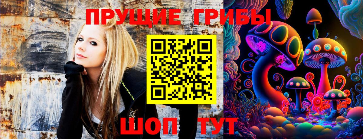 Георгиевск  Псилоцибиновые грибы мухоморы  Галлюциногенные грибы Cubensis  Вход с VPN 