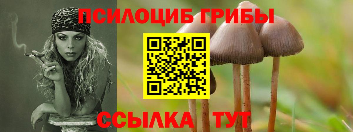 Галлюциногенные грибы Magic Shrooms Георгиевск
